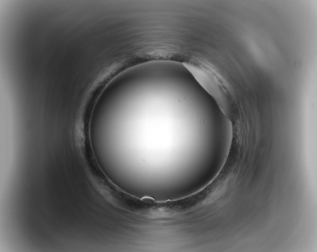 X0000098100634200804111023