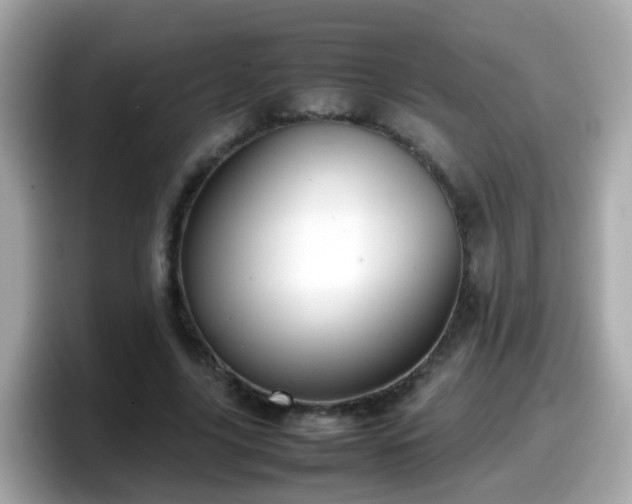 X0000098100635200804111023