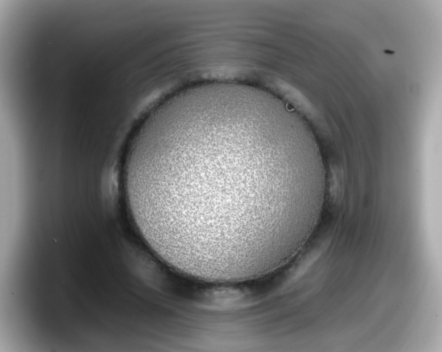 X0000098100636200804111023