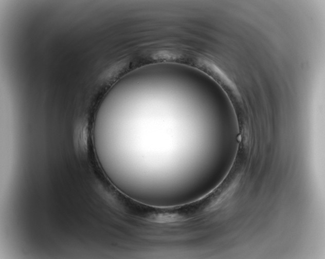 X0000098100637200804111023