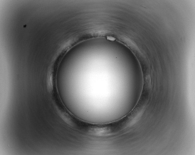 X0000098100638200804111023