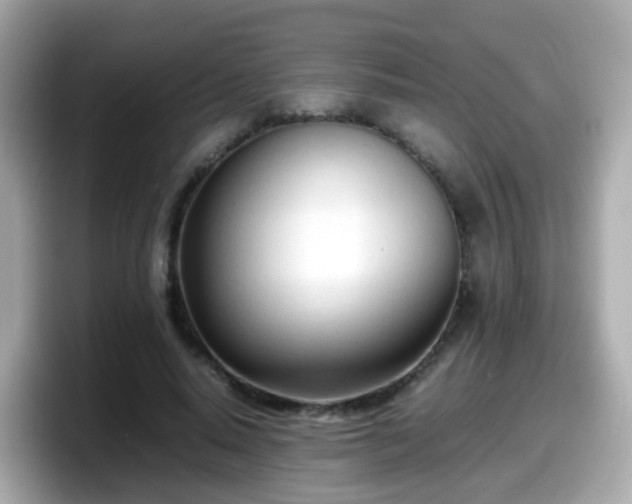 X0000098100640200804111023