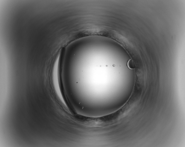 X0000098100642200804111023