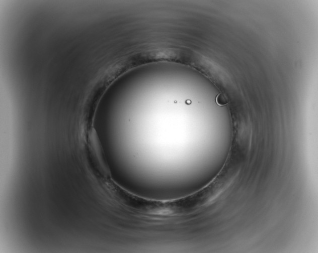 X0000098100643200804111023