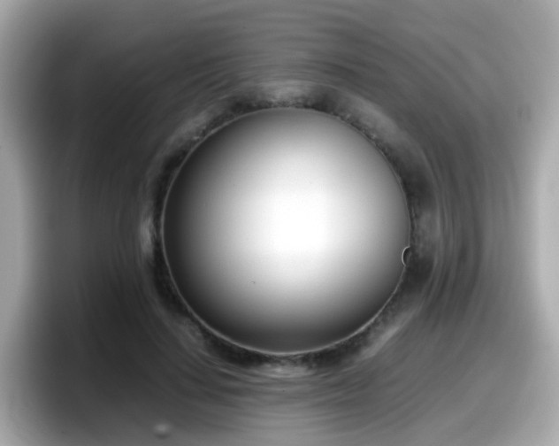 X0000098100644200804111023