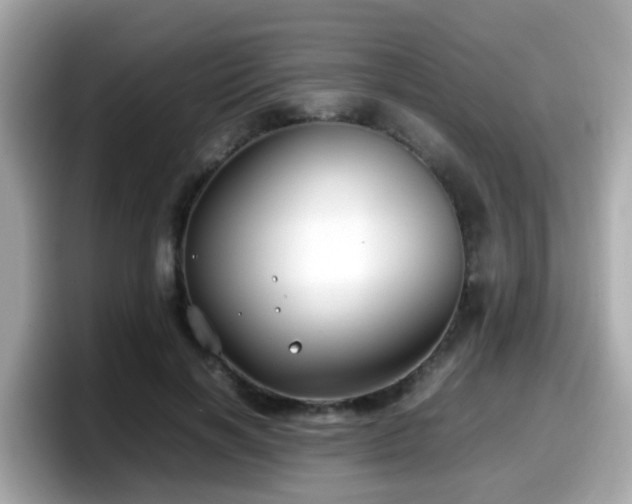 X0000098100646200804111023