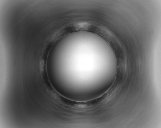 X0000098100649200804111023