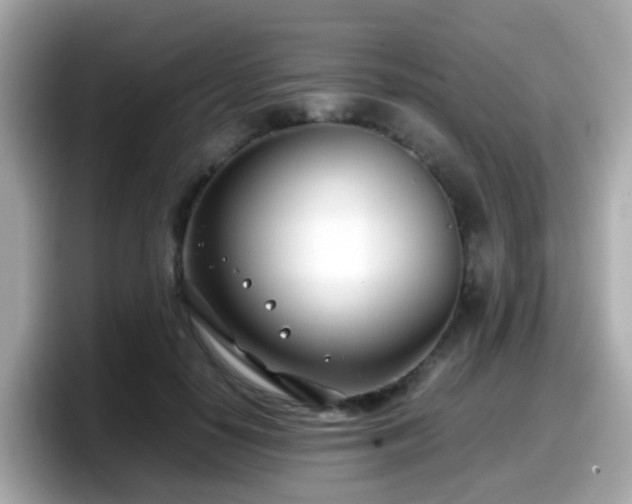X0000098100650200804111023
