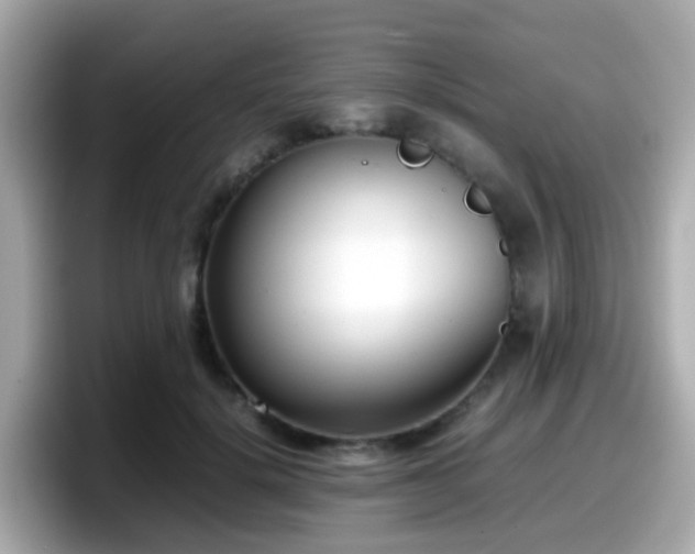 X0000098100652200804111023