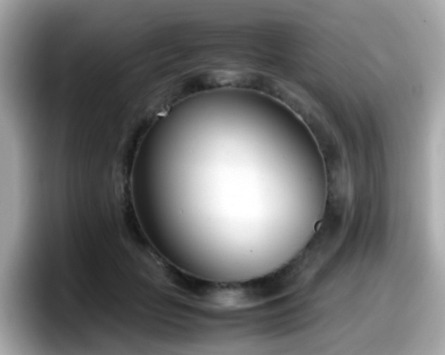 X0000098100653200804111023