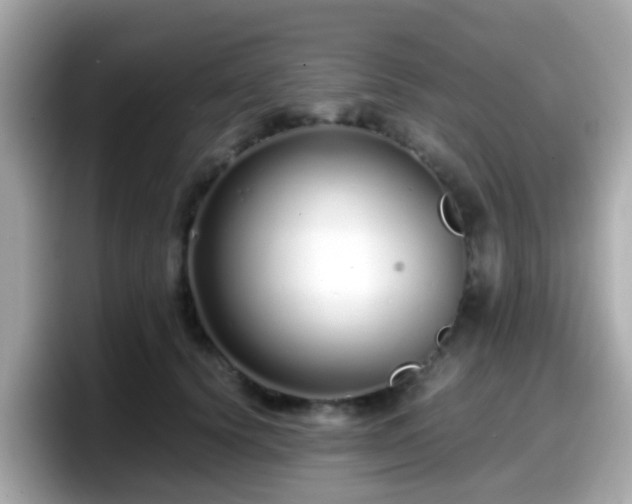X0000098100656200804111024