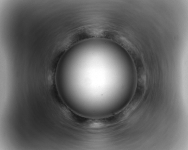 X0000098100658200804111024