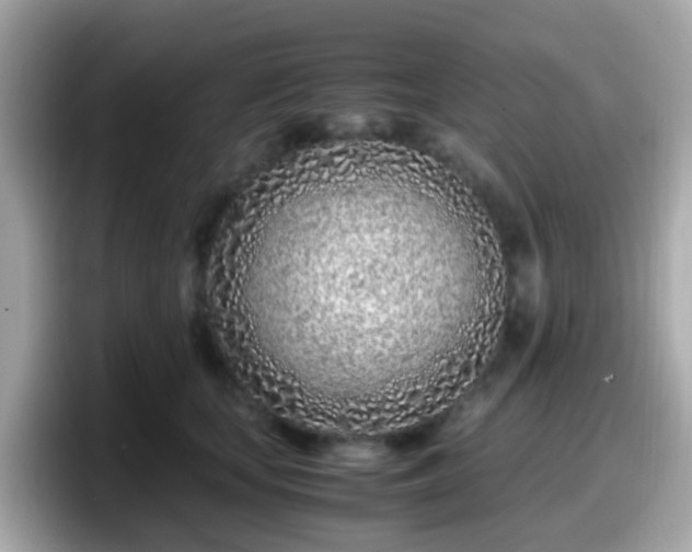 X0000098100659200804111024