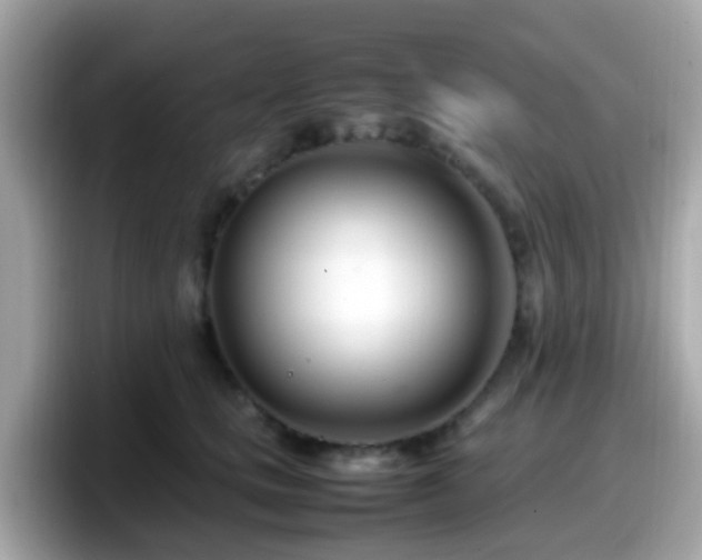 X0000098100661200804111024