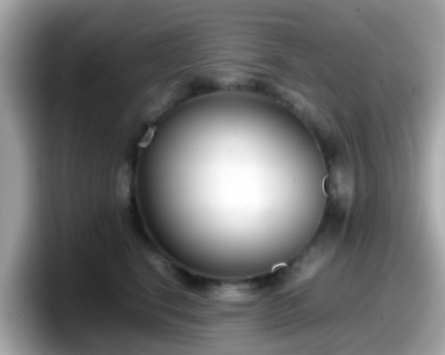 X0000098100664200804111024