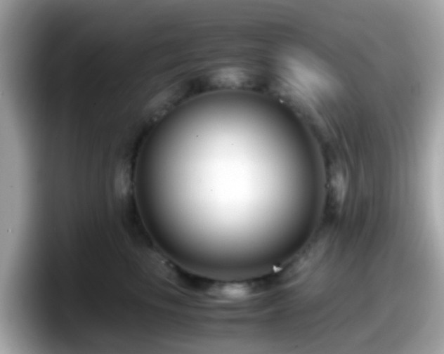 X0000098100665200804111024