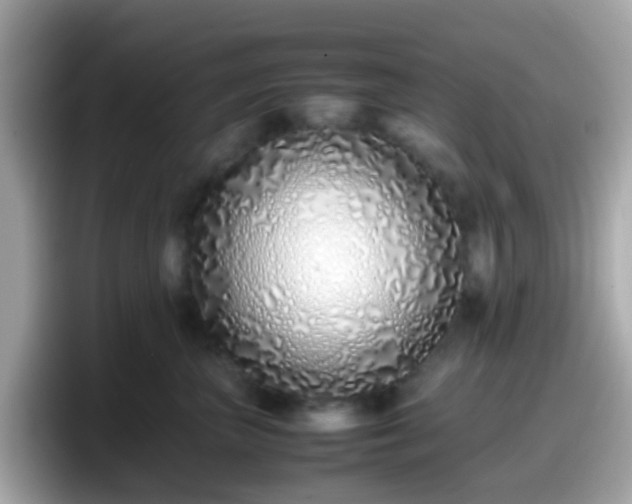 X0000098100667200804111024