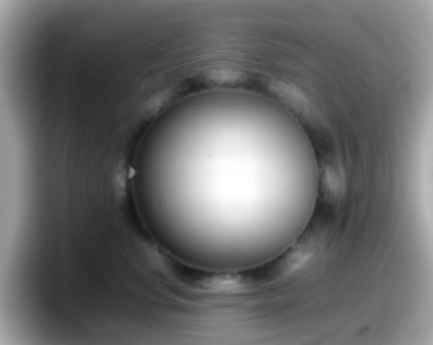 X0000098100668200804111024