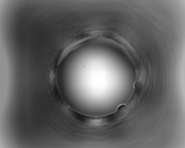 X0000098100669200804111024