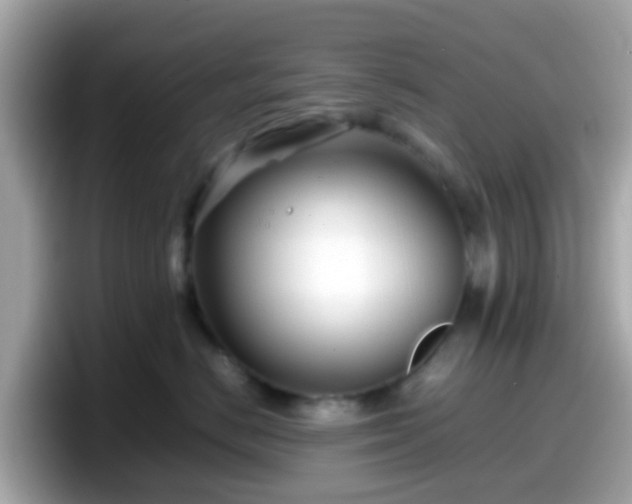 X0000098100670200804111024