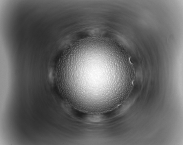 X0000098100671200804111024