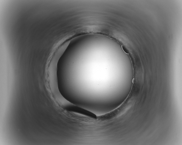 X0000098100673200804111023