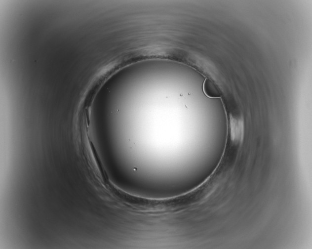 X0000098100675200804111023