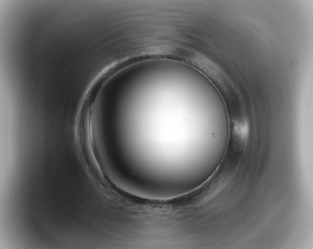 X0000098100676200804111023