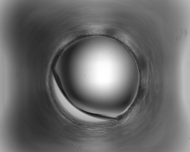 X0000098100677200804111023
