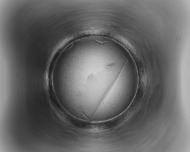 X0000098100678200804111023