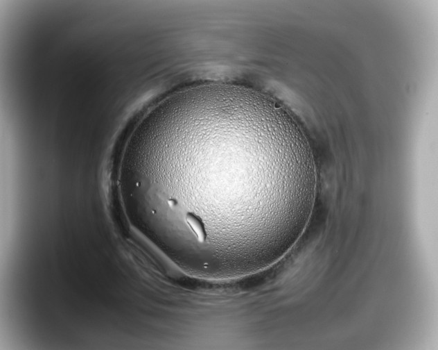 X0000098100679200804111023