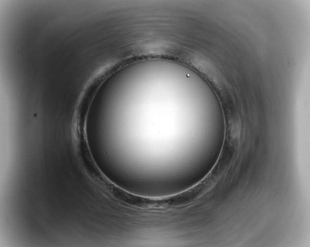 X0000098100680200804111023