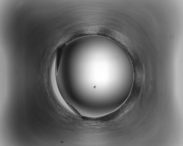 X0000098100681200804111023