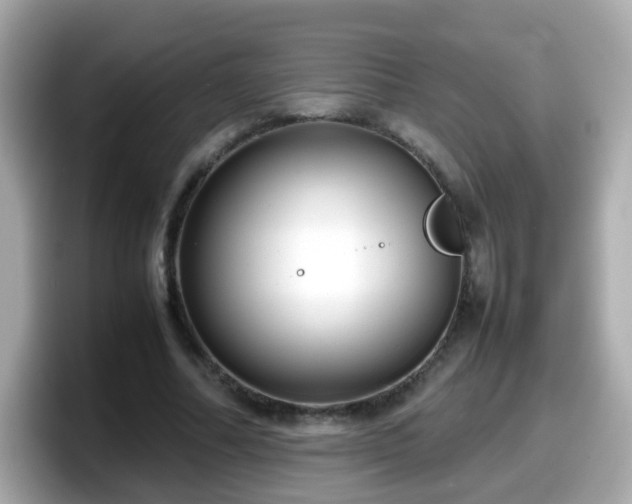 X0000098100682200804111023