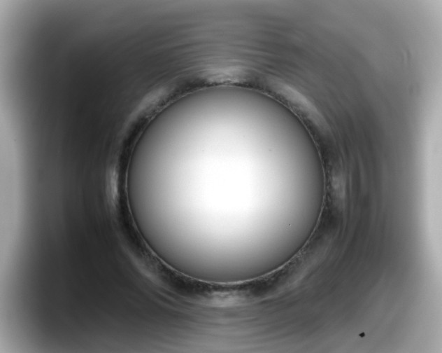 X0000098100686200804111023