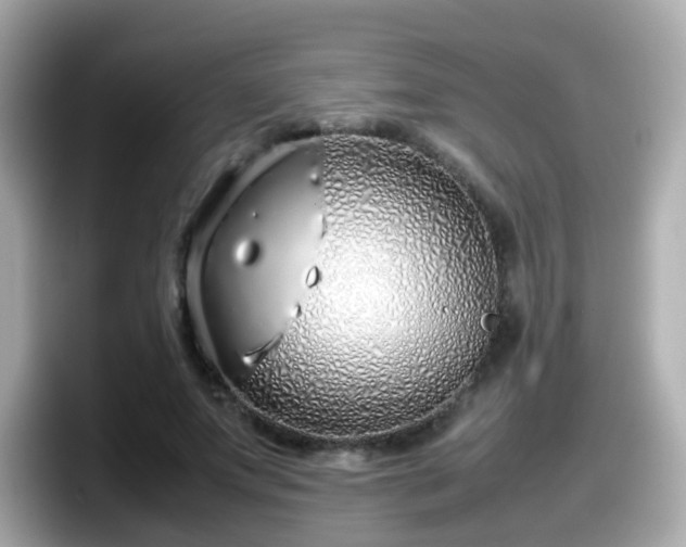X0000098100687200804111023