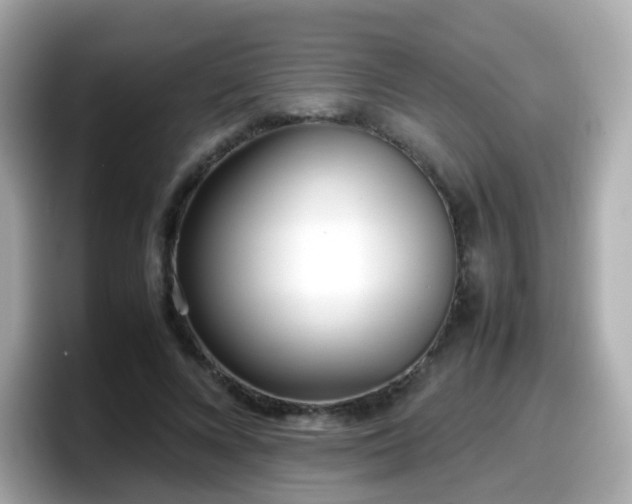 X0000098100688200804111023
