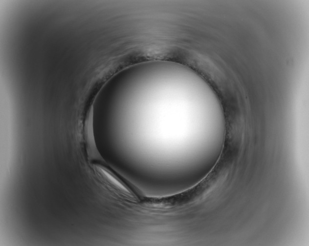 X0000098100689200804111023