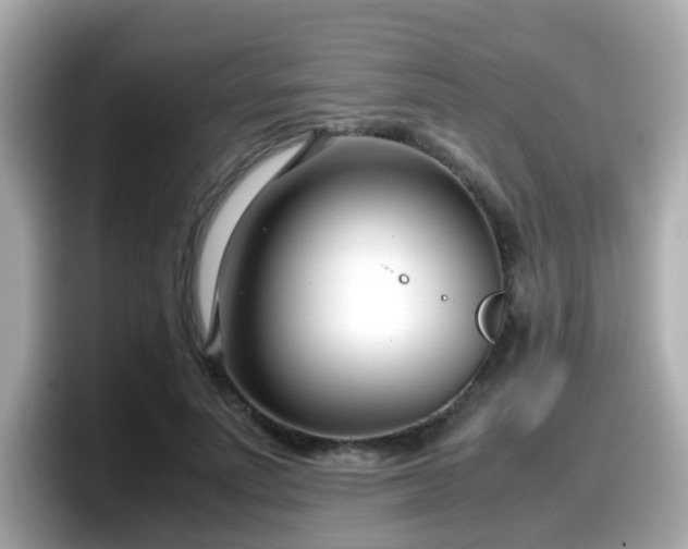 X0000098100691200804111023