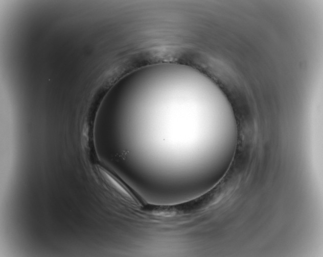 X0000098100693200804111023