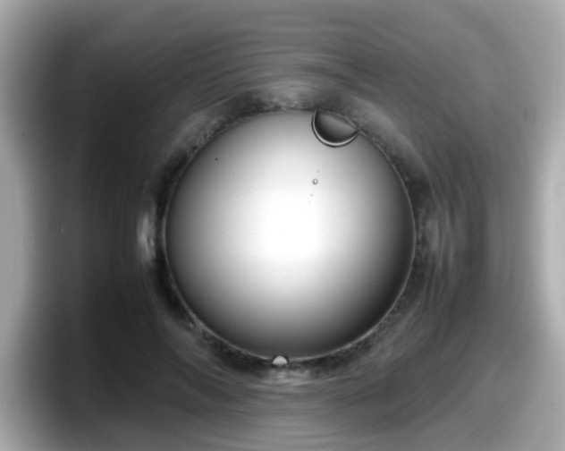 X0000098100694200804111023