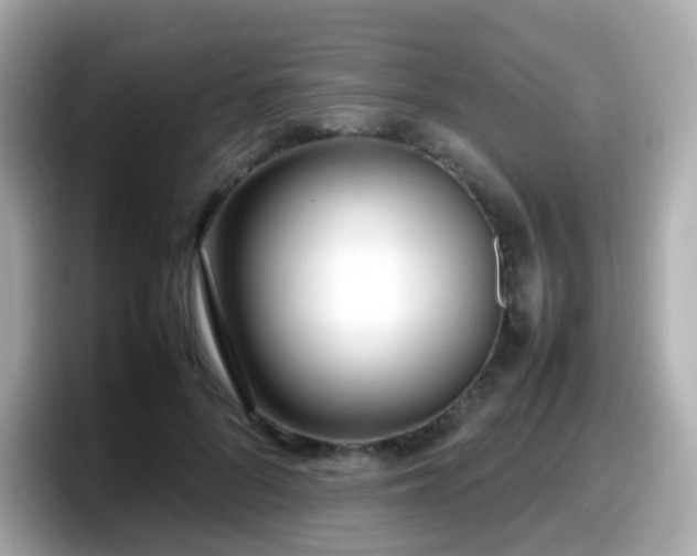 X0000098100696200804111023