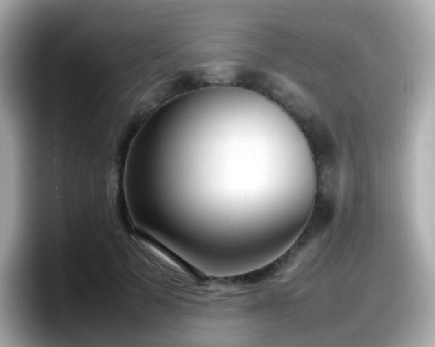 X0000098100697200804111023