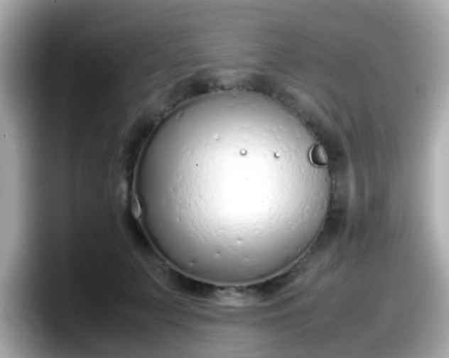 X0000098100703200804111023