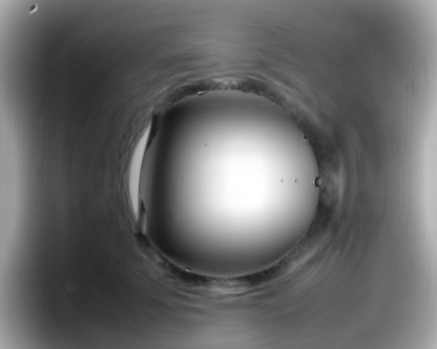 X0000098100707200804111023