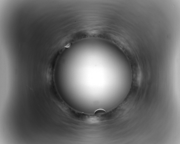 X0000098100710200804111023