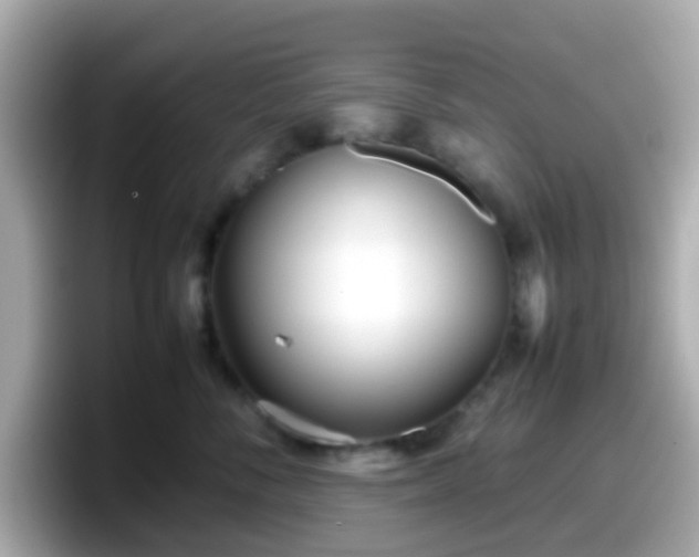 X0000098100716200804111023