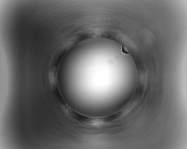 X0000098100719200804111023
