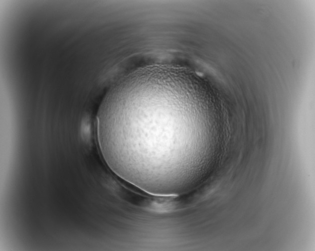 X0000098100720200804111023