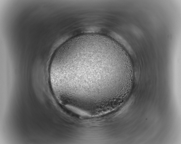 X0000098100721200804111022